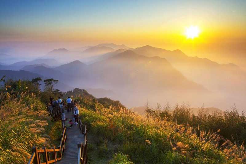 Unveiling Alishan: The Perfect Destination for Nature Lovers