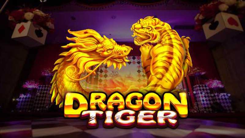 dragon tiger strategy guide