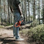 DIY Tree Removal: Safety Tips and Common Mistakes to Avoid