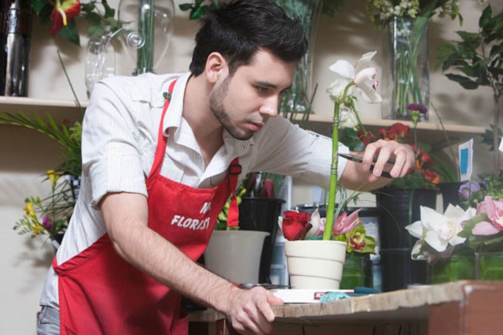 waverton florist