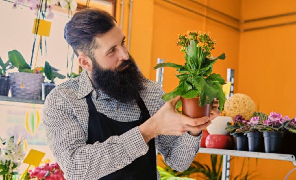 McMahons Point Florist