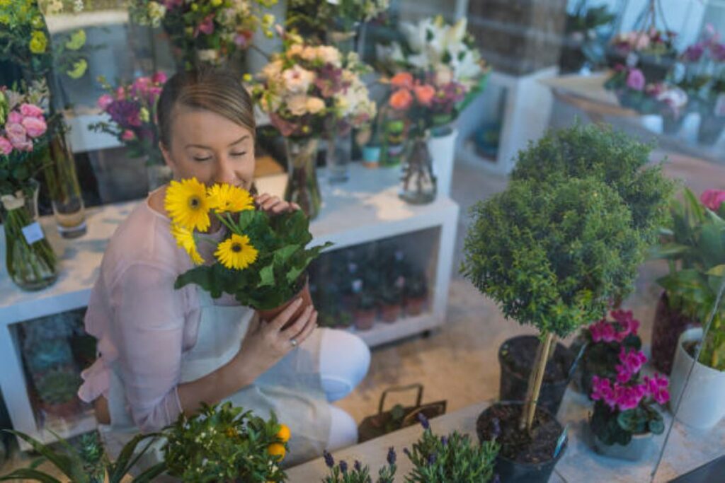 McMahons Point Florist
