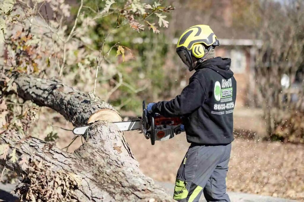 Tree Pruning Near Me