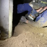 Pest Control Termite Treatment: Comprehensive Protection for Your Property