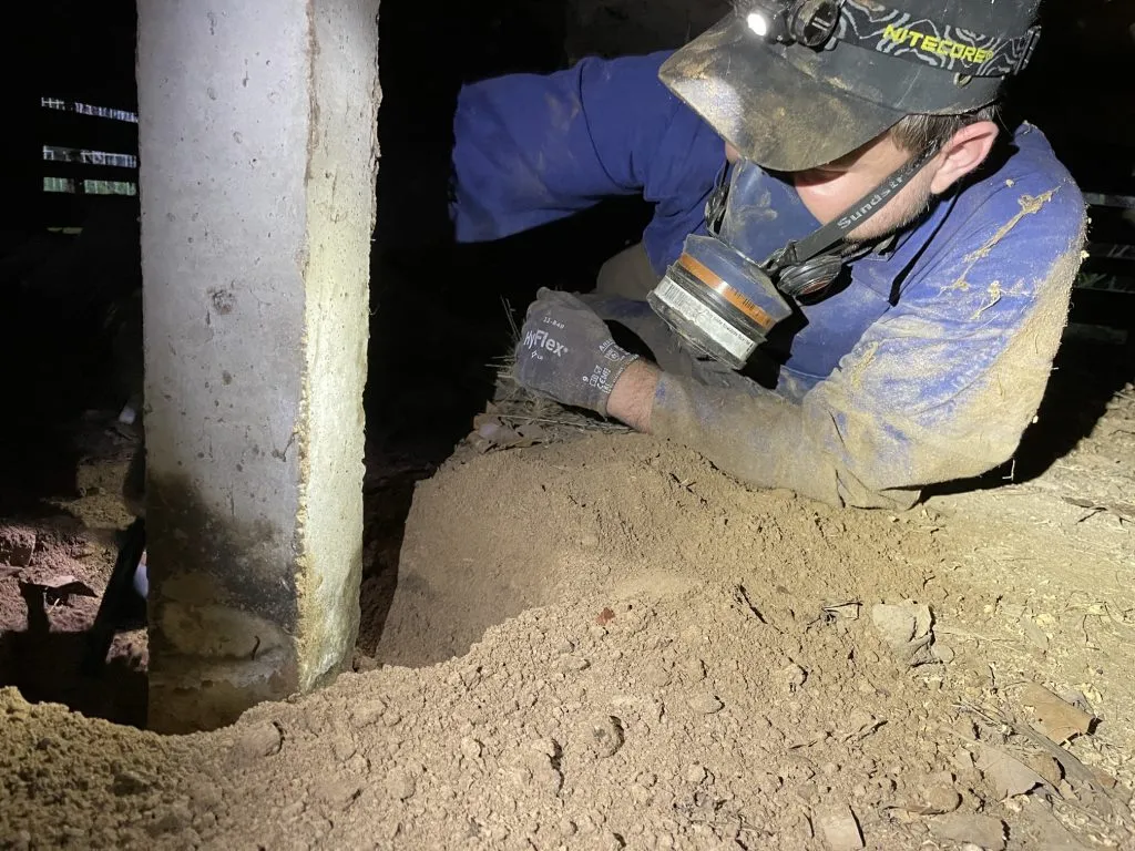 Pest Control Termite Treatment: Comprehensive Protection for Your Property