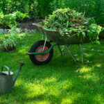 Stump Grinding vs. Full Tree Stump Removal – Which is Best for Your Garden?