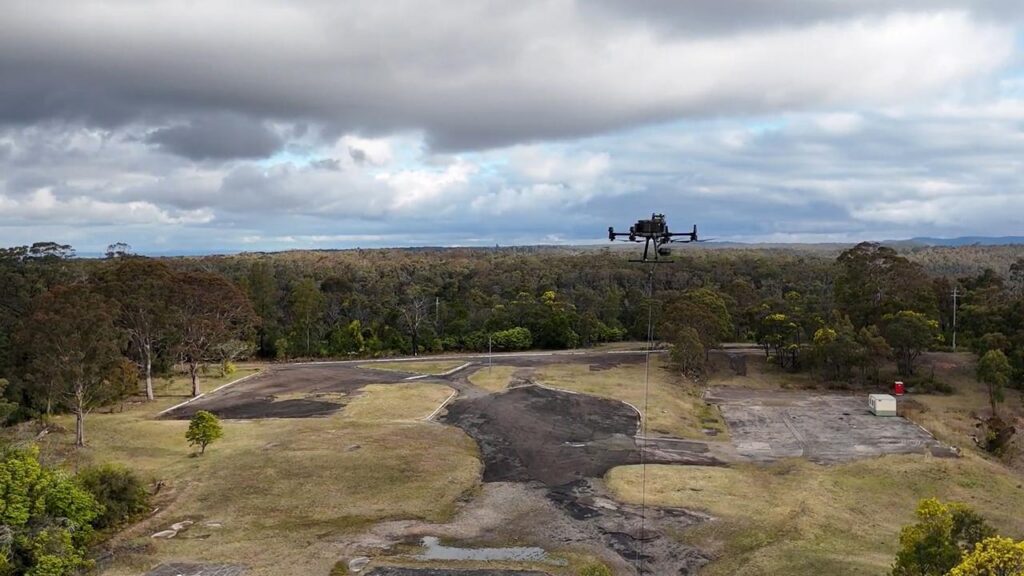 Emergency Tree Removal Sydney: Rapid Response and Crisis Management for Your Safety

