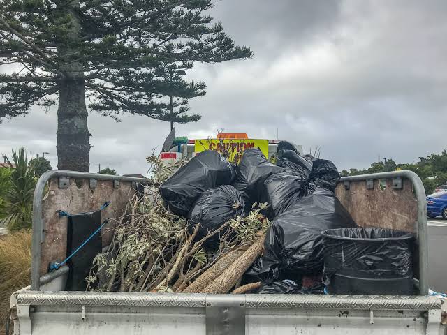Green Waste Removal Sydney: Eco-Friendly Disposal and Recycling Solutions for Your Property